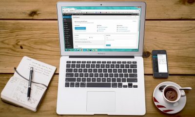 wordpress website