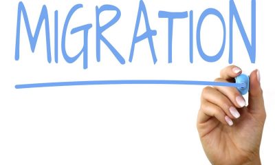 webshop migratie