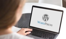 waarom wordpress zo populair is