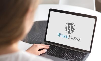 waarom wordpress zo populair is